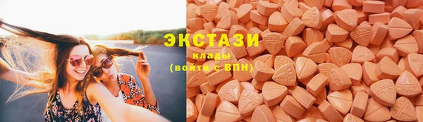 гидра Вяземский
