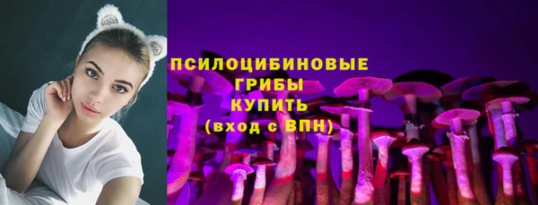 соль ск Вязьма