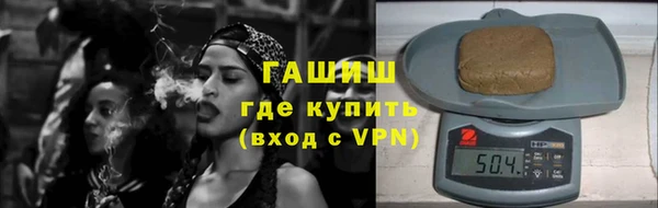 гидра Вяземский