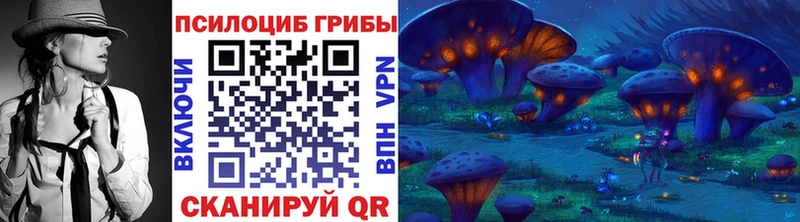 Псилоцибиновые грибы Magic Shrooms  сколько стоит  Шагонар 