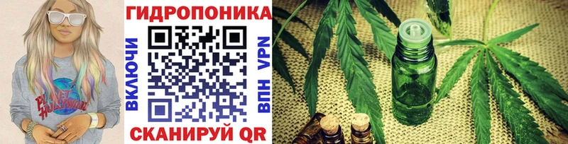 блэк спрут зеркало  Шагонар  Бошки марихуана Amnesia  наркошоп 